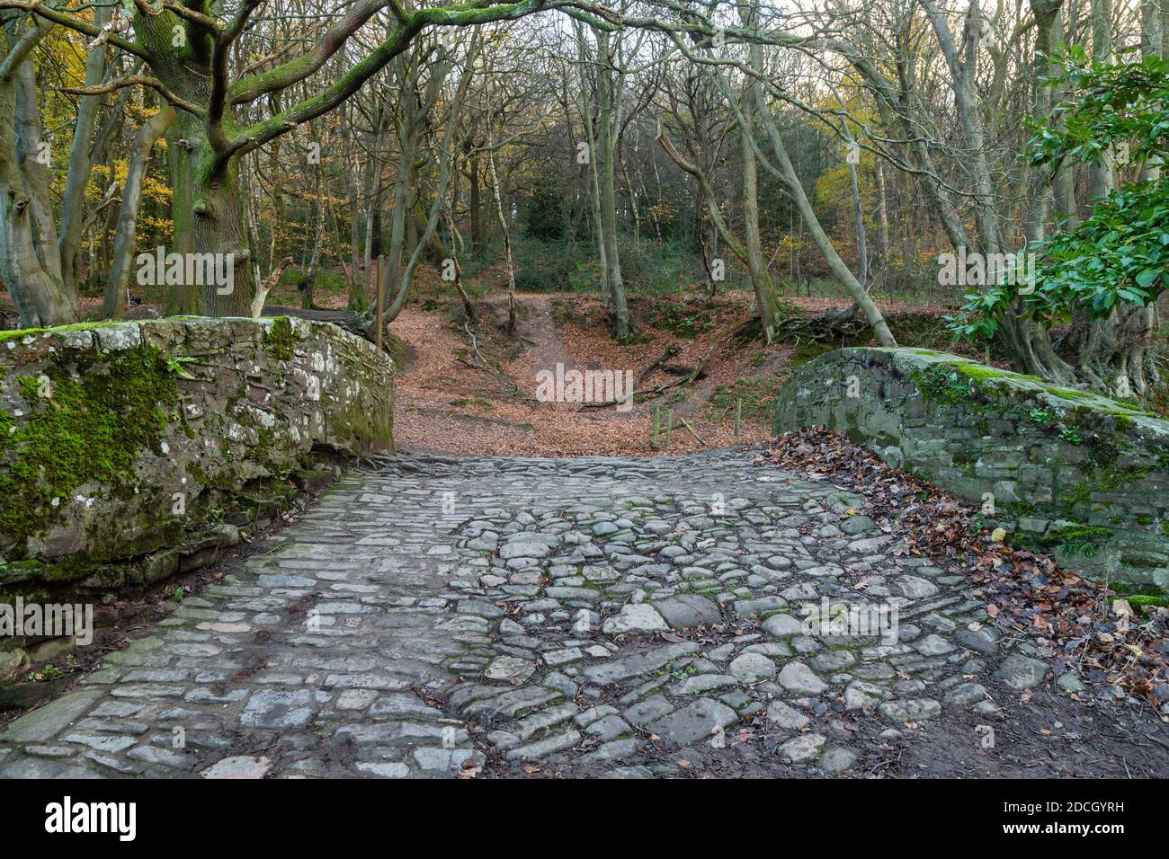 Cobbled bridge over the Monmouthshire and Brecon Canal, Monmouthshire, Wales Stock Photo