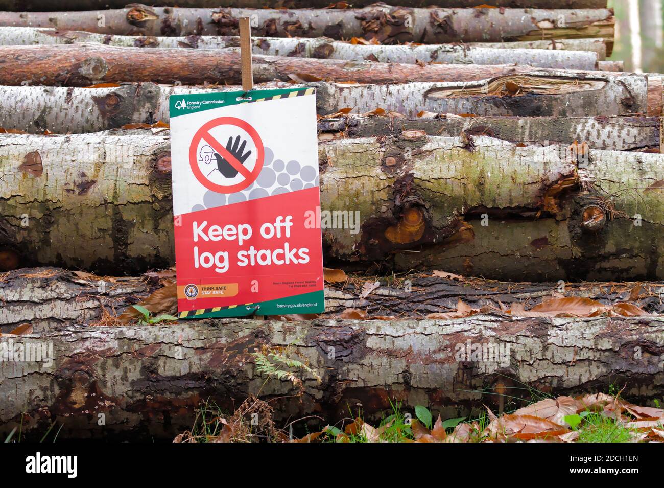 Keep Off Log Stacks Warning Sign By The Forestry Commission Fixed To A Pile Of Logs New Forest Hampshire England UK Stock Photo
