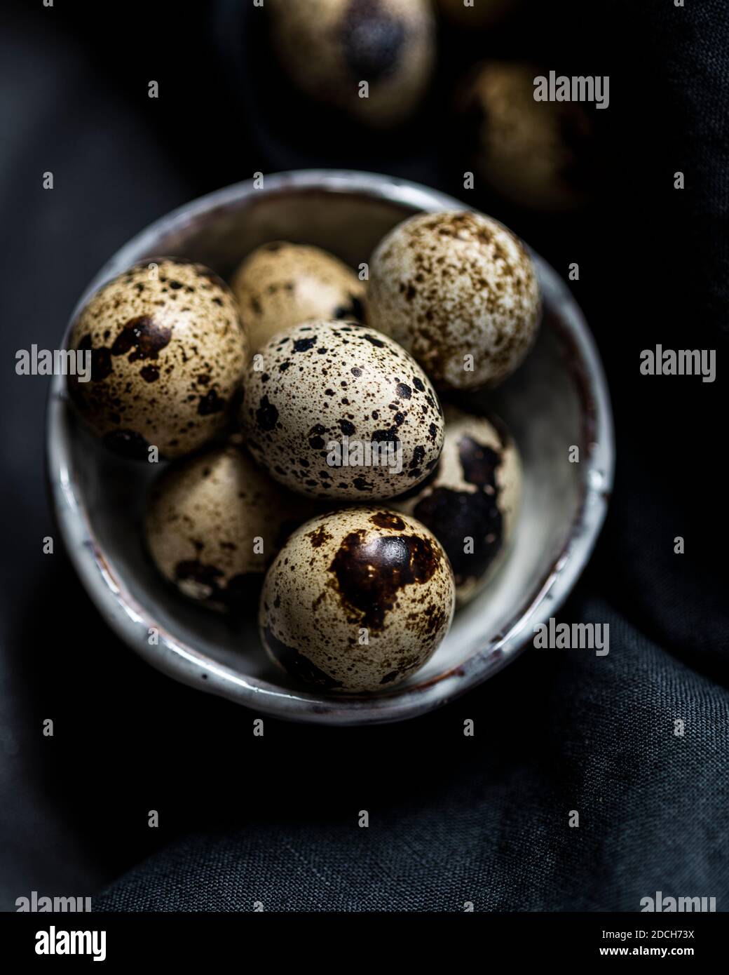 Quail eggs in white bowl on black backdrop, quail eggs, pile of quails eggs in bowl, speckled eggs, speckled eggs in bowl, quail eggs dark background Stock Photo