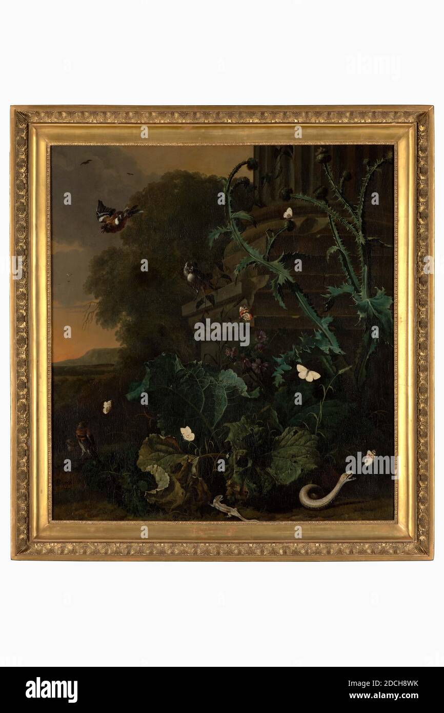 painting, Abraham Jansz. Begeyn, 17th century, Signature front, bottom left: A. Begeijn f, canvas, oil paint, painted, Carrier: 110 × 101 × 2.5cm 1100 × 1010 × 25mm, With frame: 129 × 120 × 7.5cm 1290 × 1200 × 75mm , butterfly, flower, plant, bird, reptile, painting depicting plants, flowers and birds in an Italian landscape. For a background of trees with a fading left and a heavy pedestal of a fluted column on the right, flowering thistles and plants with large leaves grow, flown by three birds and six butterflies. In the foreground a lizard and on the right a snake, the latter attempting to Stock Photo