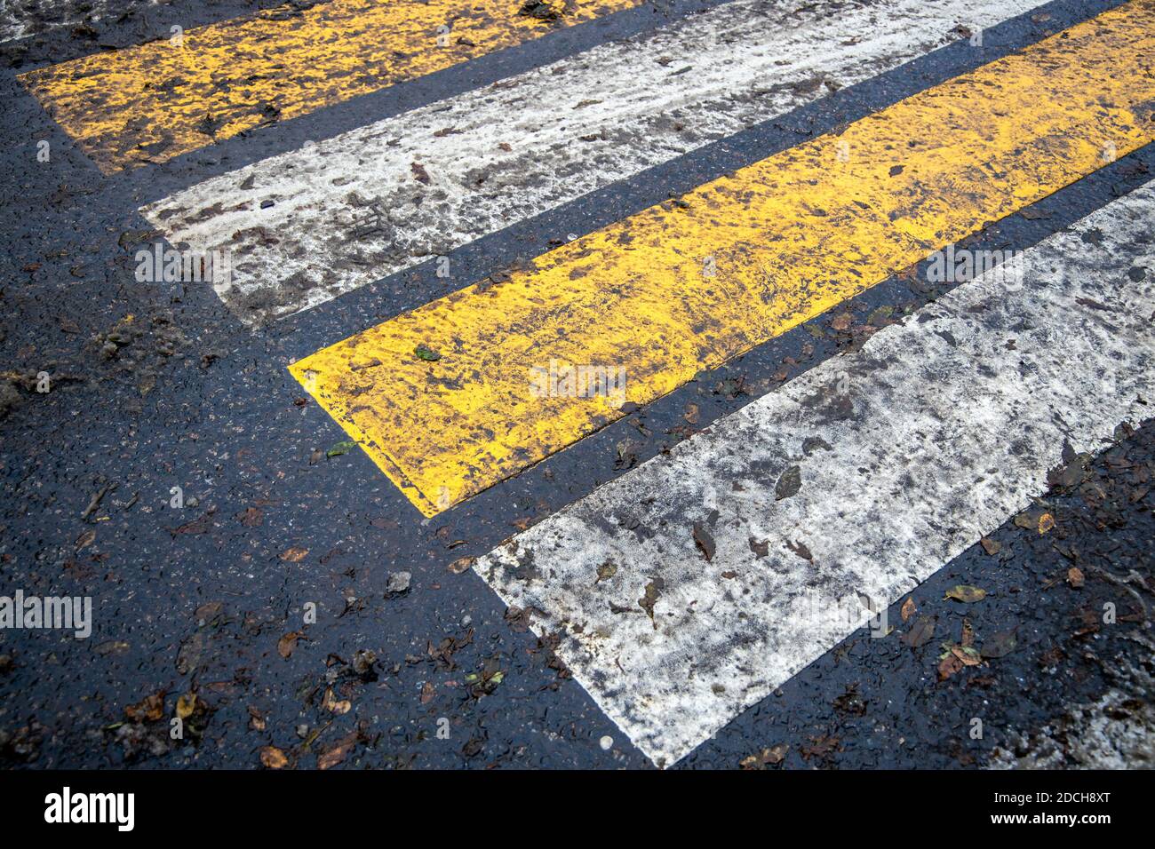 urban wet road with zebra crossing in rain Stock Photo