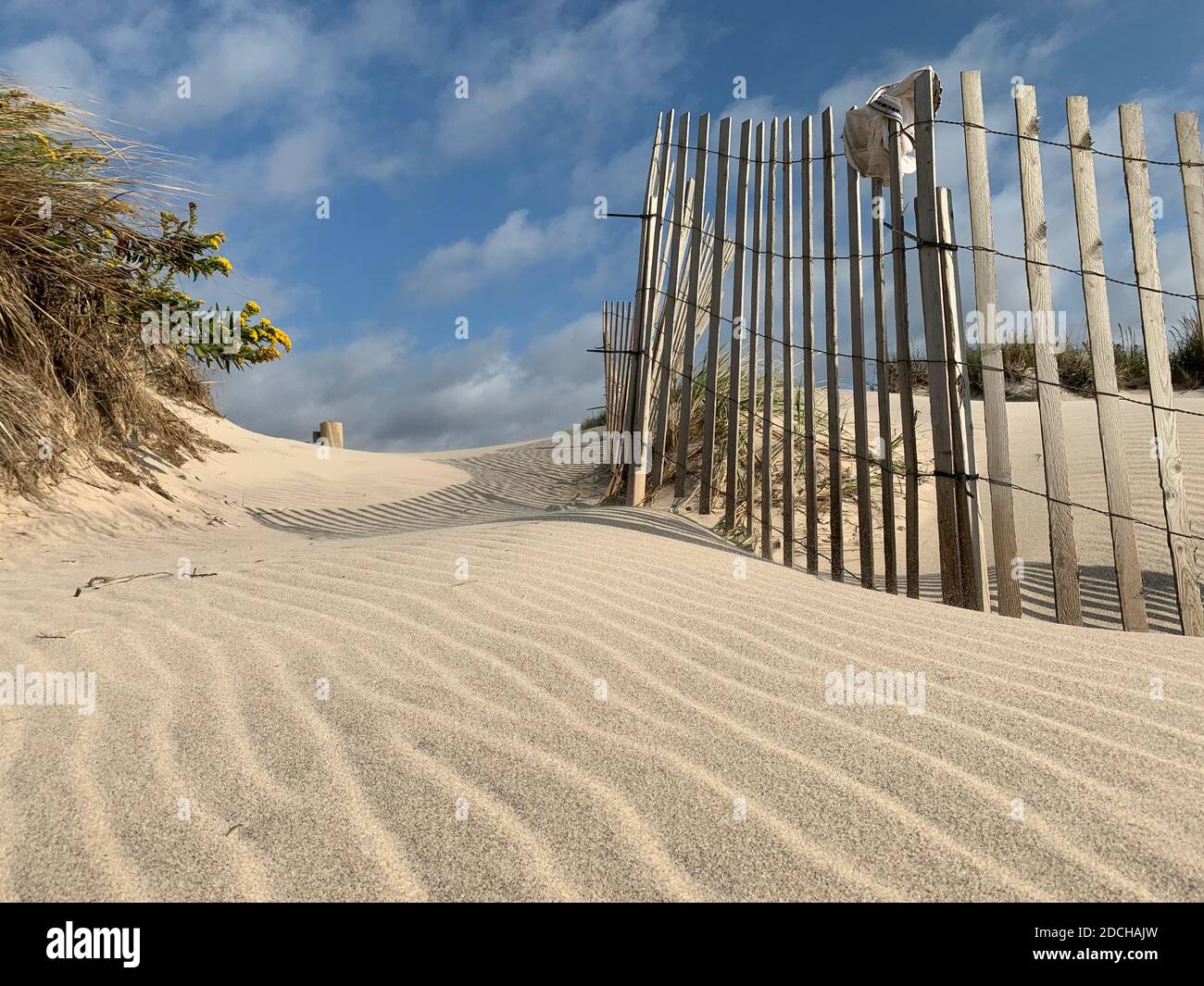 Dune fencing hi-res stock photography and images - Alamy