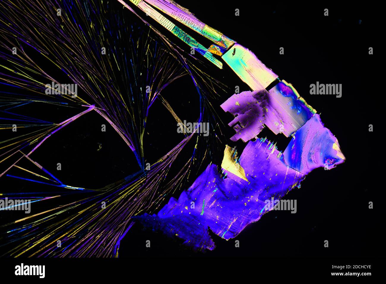Crystals of Platino Cyanide of Strontium under microscope with polarized light. Stock Photo
