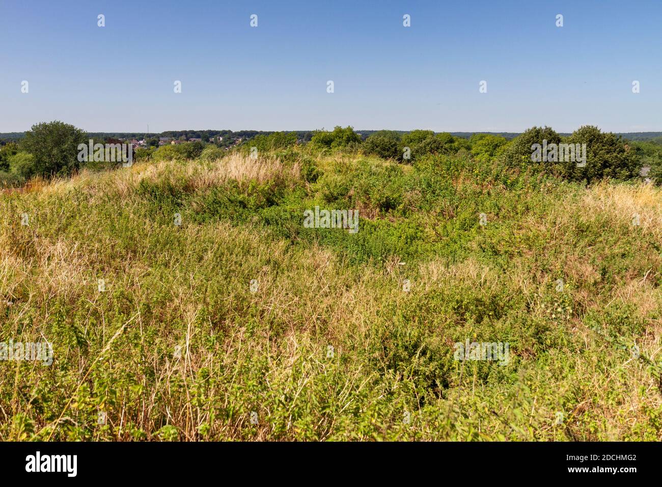General view of the top of the mound of Thetford Castle, Thetford, Norfolk, England. Stock Photo