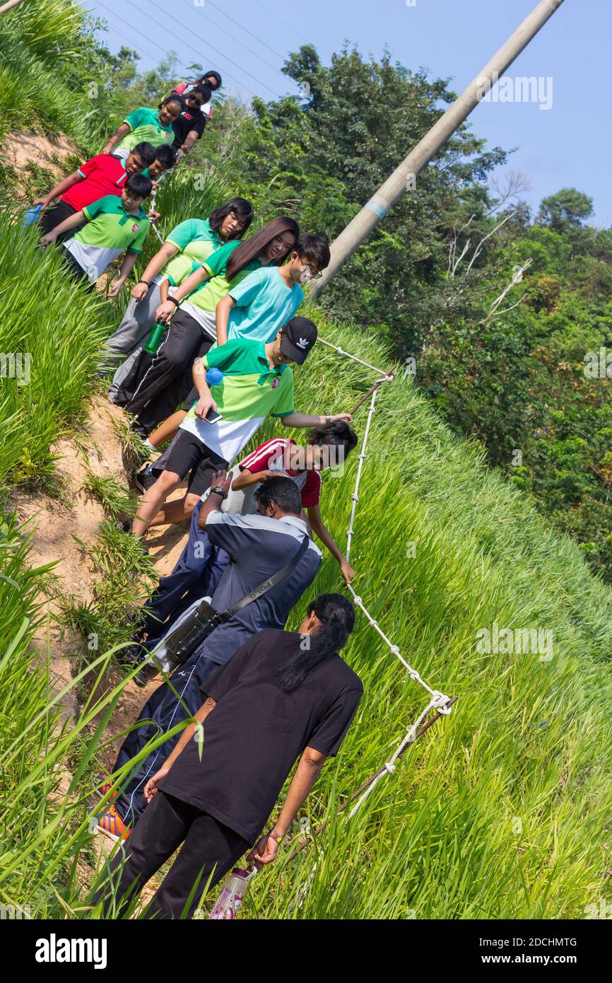 Taken during school activity while on nature walk. Stock Photo