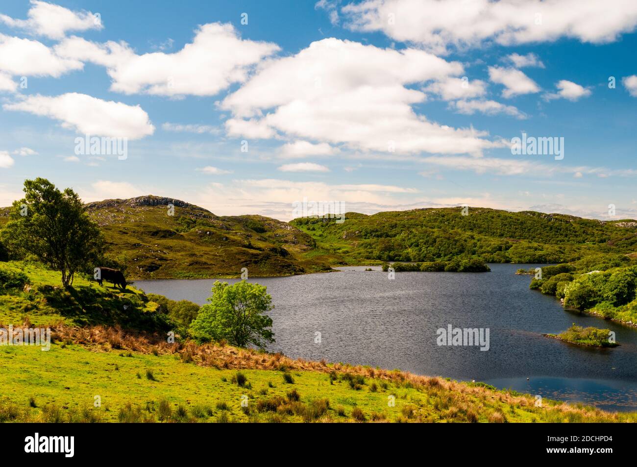 A view of Loch Drumbeg at Drumbeg, Assynt, in the far north of Scotland. June. Stock Photo