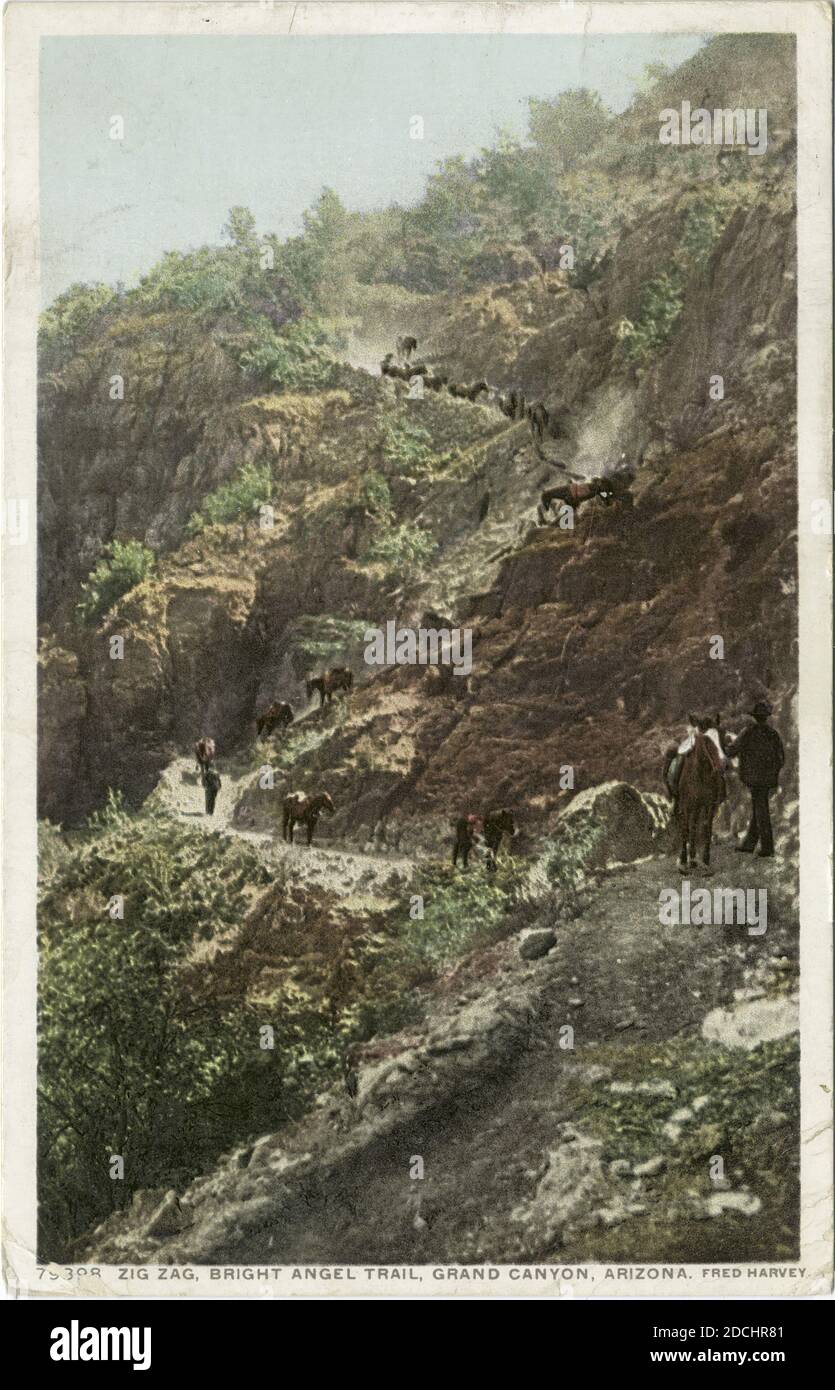 Zig Zag, Bright Angel Trail, Grand Canyon, Ariz., still image, Postcards, 1898 - 1931 Stock Photo