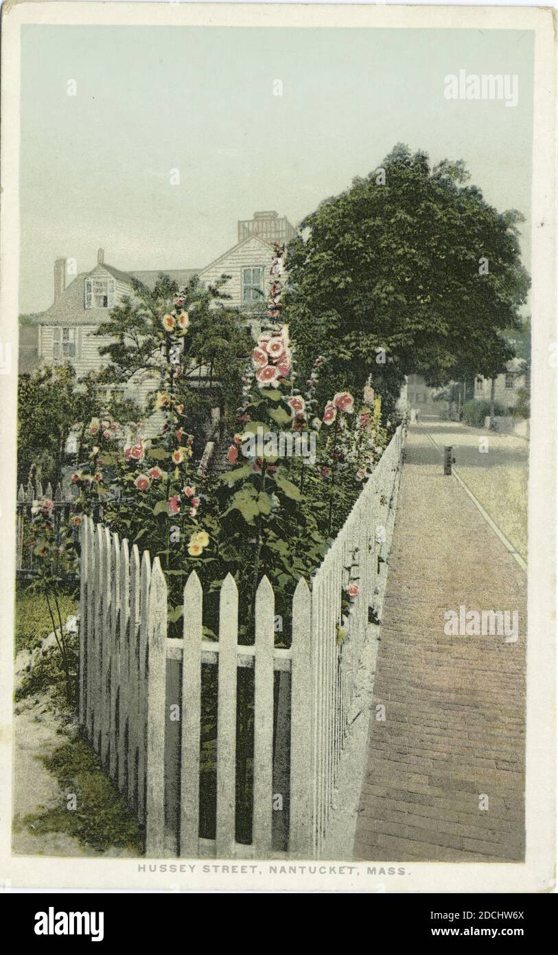 Hussey Street, Nantucket, Mass., still image, Postcards, 1898 - 1931 Stock Photo