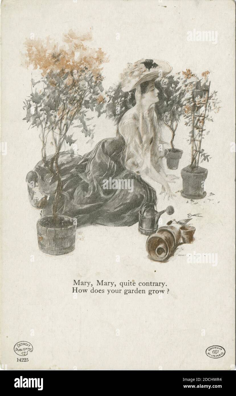 Mary,  Mary, Quite Contrary, Harper Cartoons, still image, Postcards, 1898 - 1931 Stock Photo
