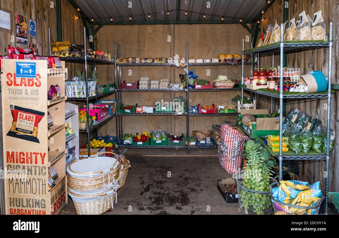 Fresh vegetable supplier, Brand Family farm shop, East Lothian, Scotland, United Kingdom Stock Photo