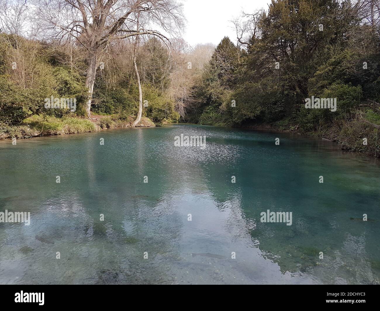 Silent Pool. Surrey Stock Photo - Alamy