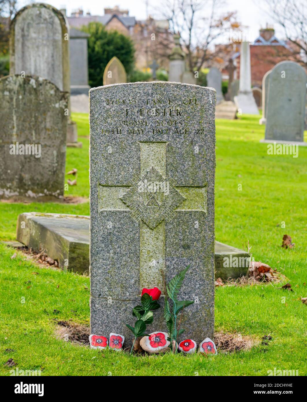 Painted poppies on gravestone of Royal Scots Lance Corporal who died in World War I 1917, North Berwick, East Lothian, Scotland, UK Stock Photo