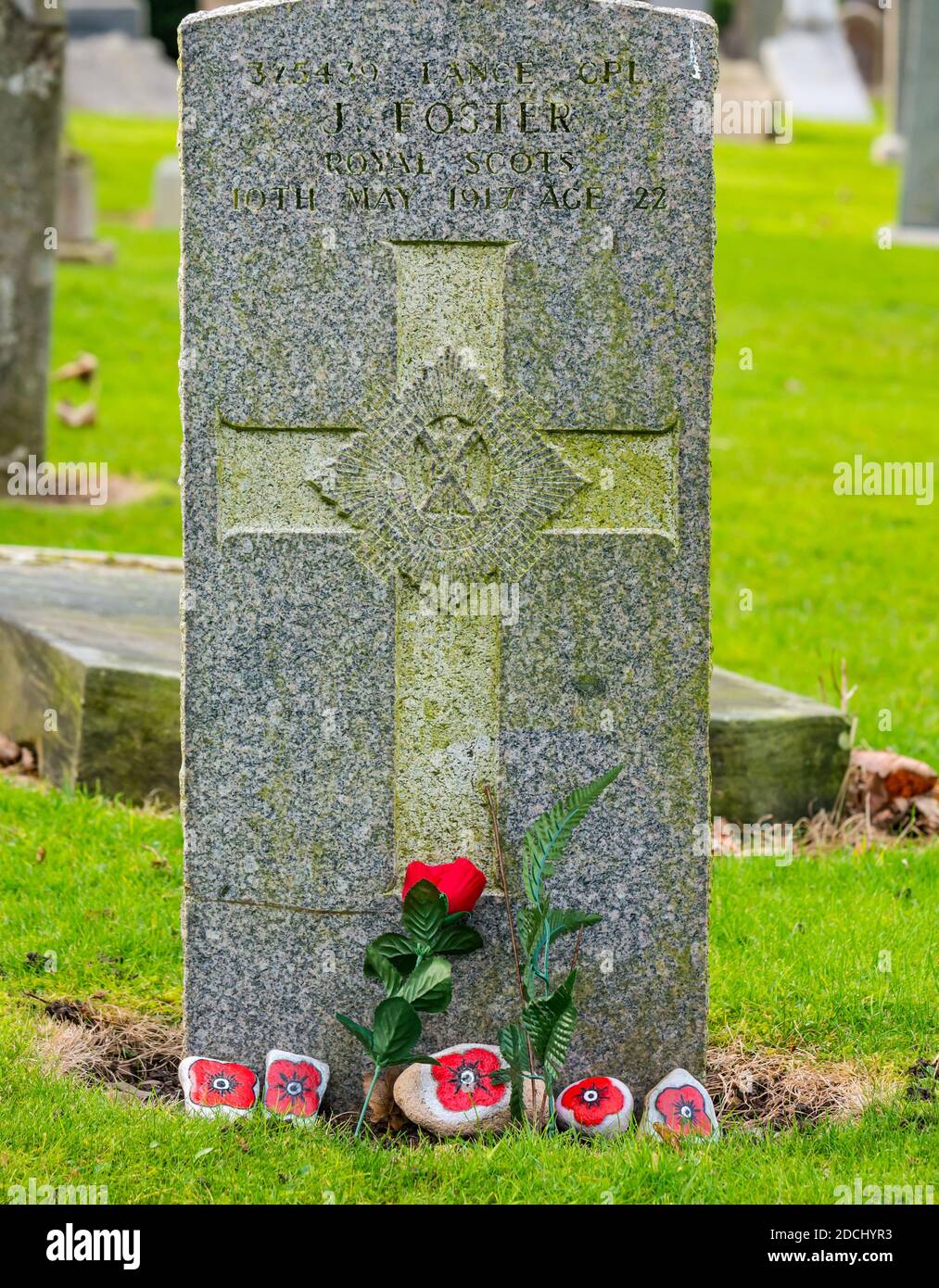 Painted poppies on gravestone of Royal Scots Lance Corporal who died in World War I 1917, North Berwick, East Lothian, Scotland, UK Stock Photo