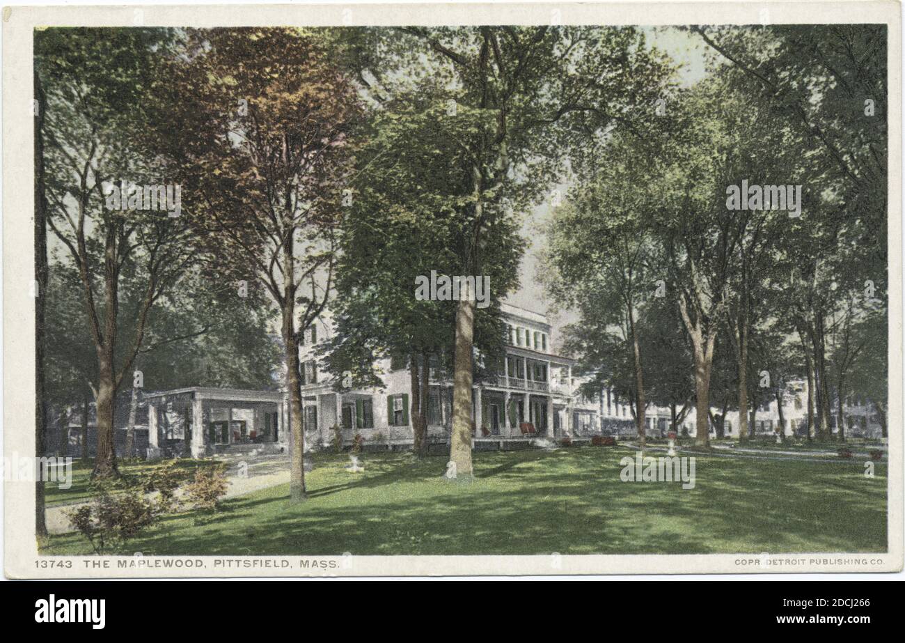 The Maplewood, Pittsfield, Mass., still image, Postcards, 1898 1931
