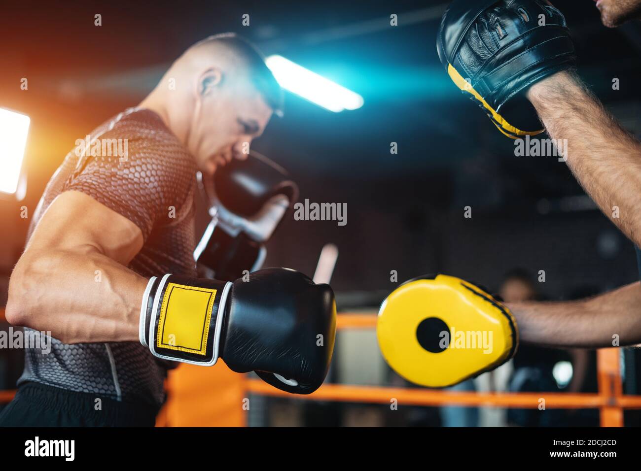 two muscle boxers sport man training and fighting on boxing ring at gym