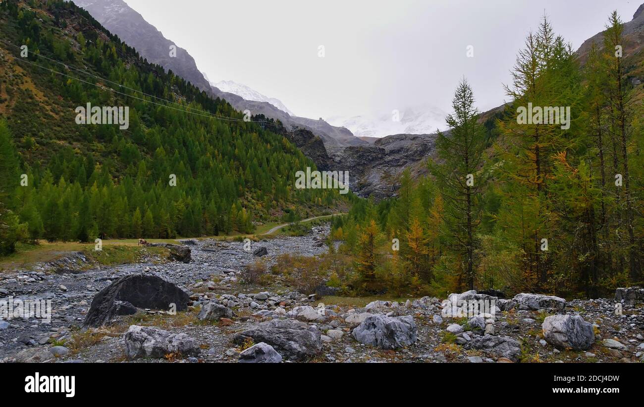 View of upper Sulden valley with snow-capped Ortler massif vanished in clouds in South Tyrol, Italy with cableway and green colored coniferous trees. Stock Photo