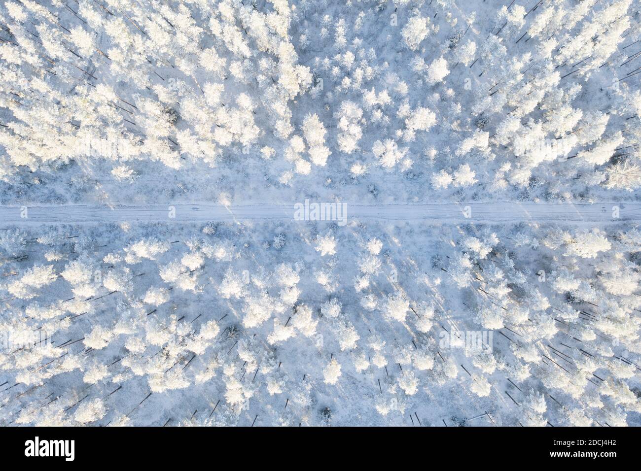 Aerial view of a car road in winter snow covered pine forest. Winter forest texture with road. Aerial view. Aerial drone view of a winter landscape. S Stock Photo