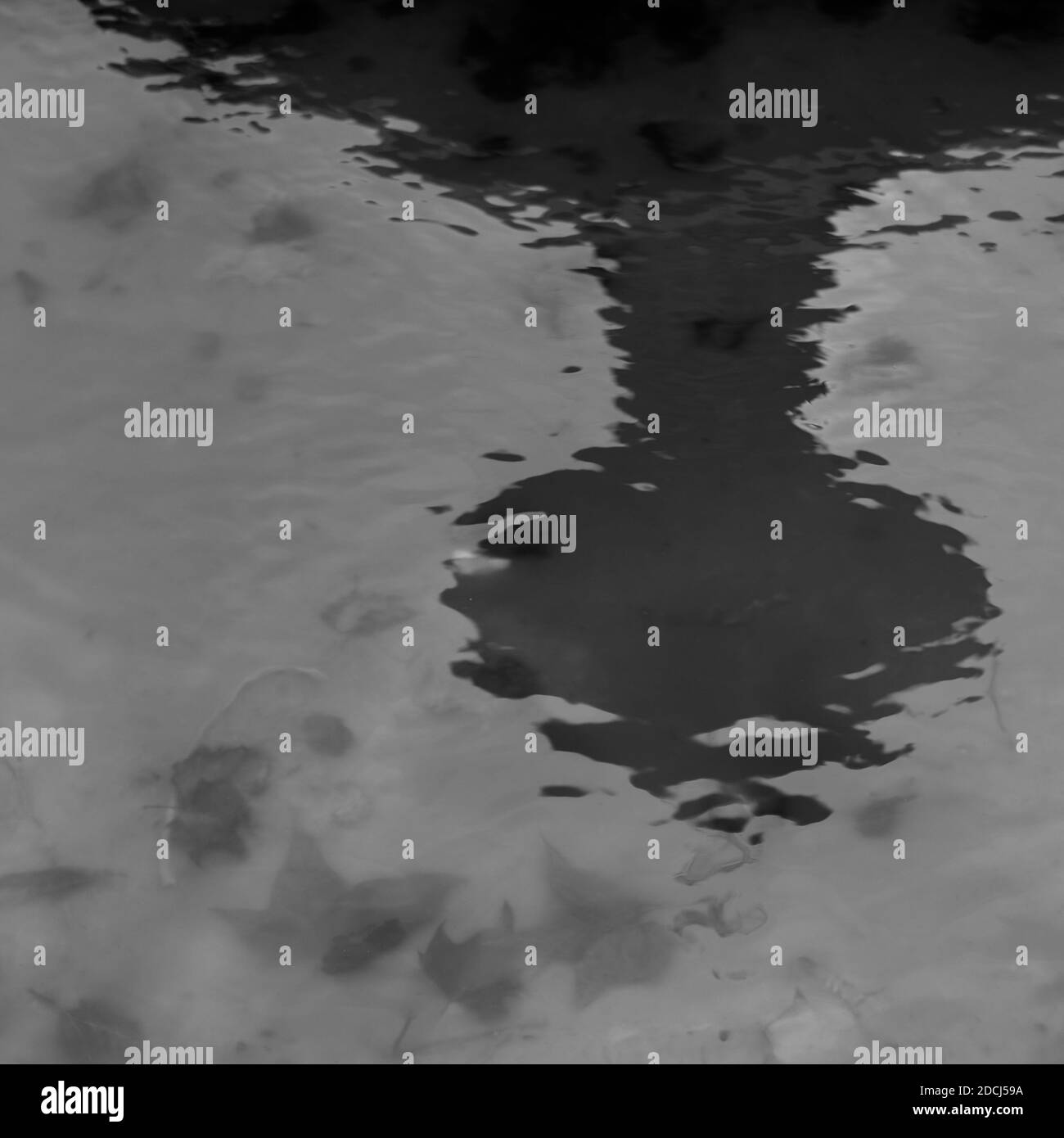 black and white monochrome image of a dark shadow reflection in water with ripples Stock Photo