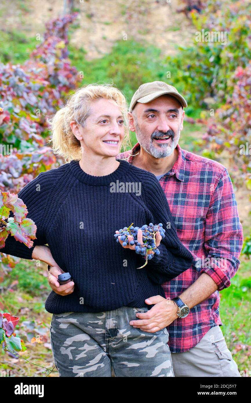 Mature young couple of farmers  in a vineyard farmland with a bunch of grapes. Stock Photo
