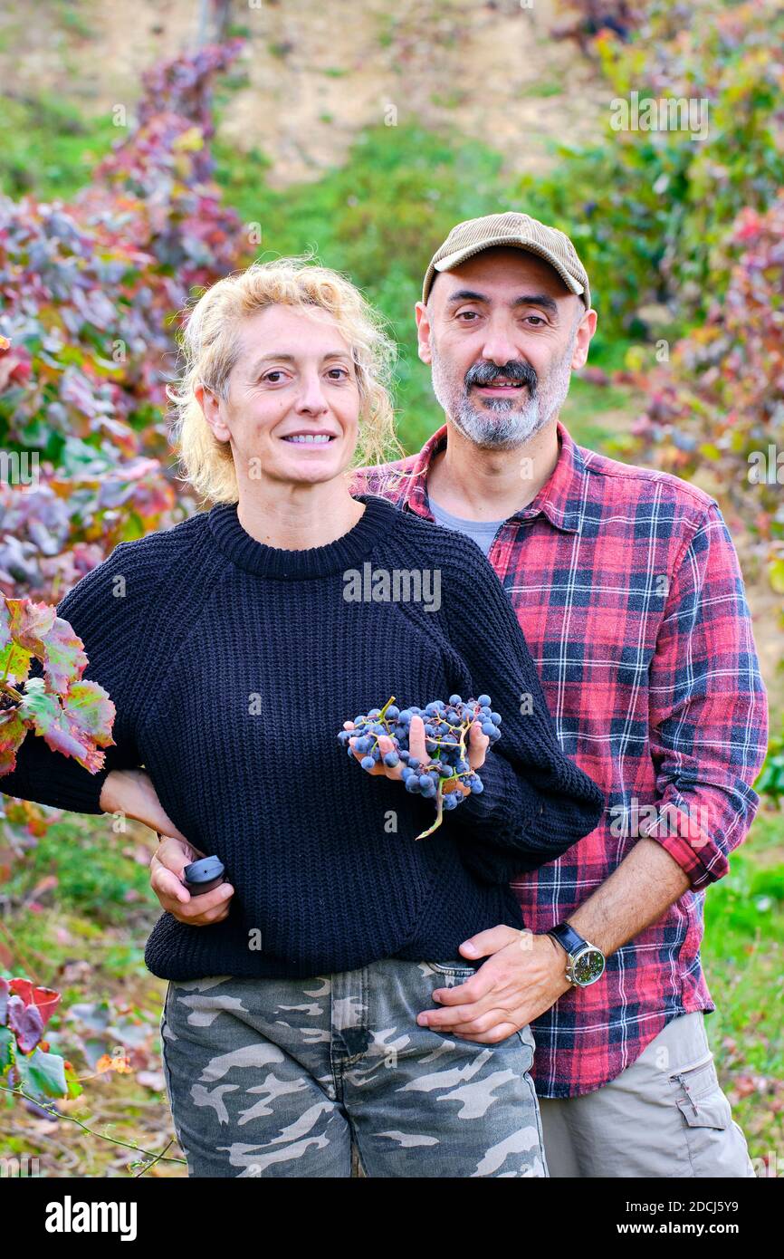 Mature young couple of farmers  in a vineyard farmland with a bunch of grapes. Stock Photo
