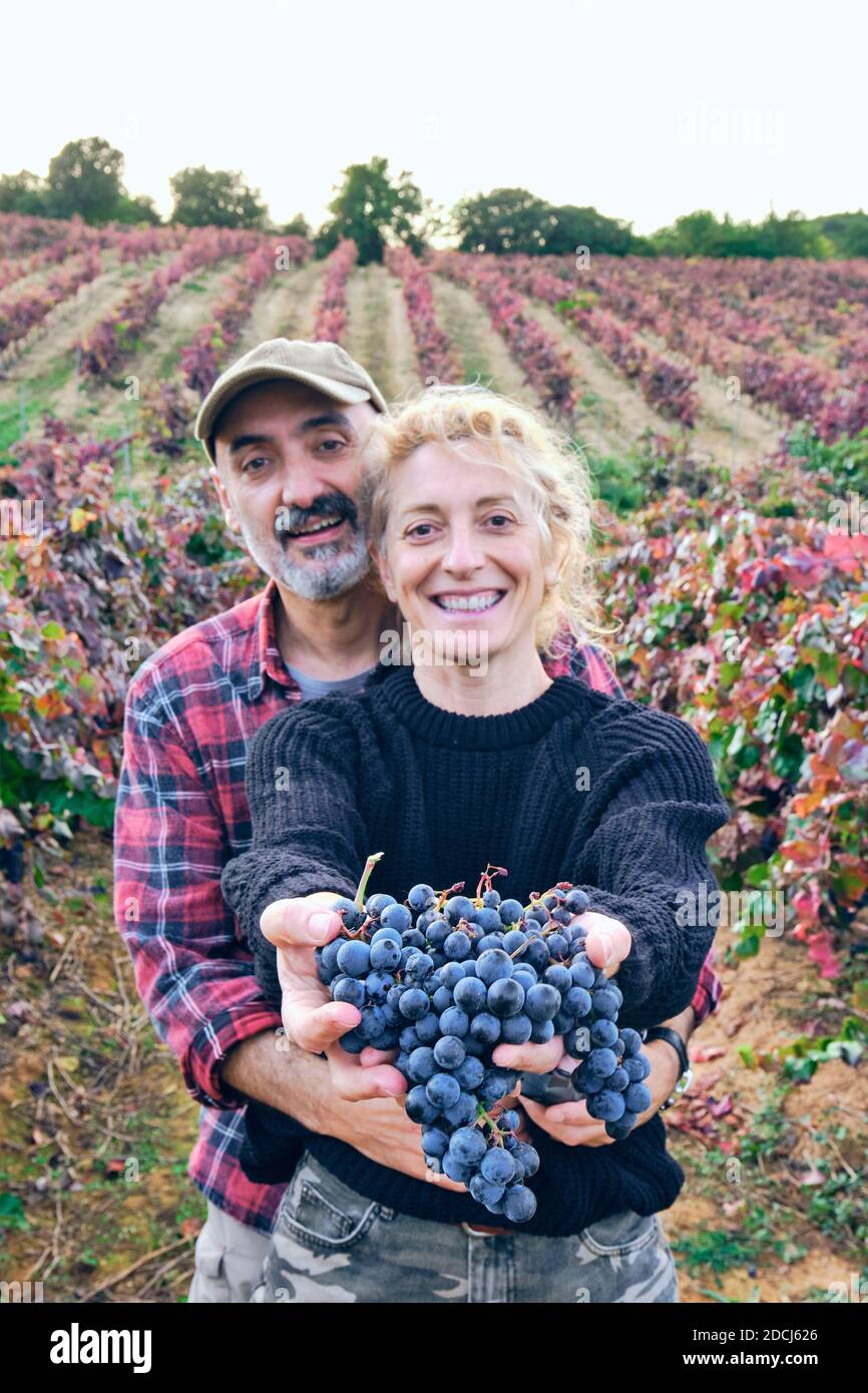 Mature young couple of farmers  in a vineyard farmland with a bunch of grapes. Iguzkiza, Navarre, Spain, Europe. Stock Photo