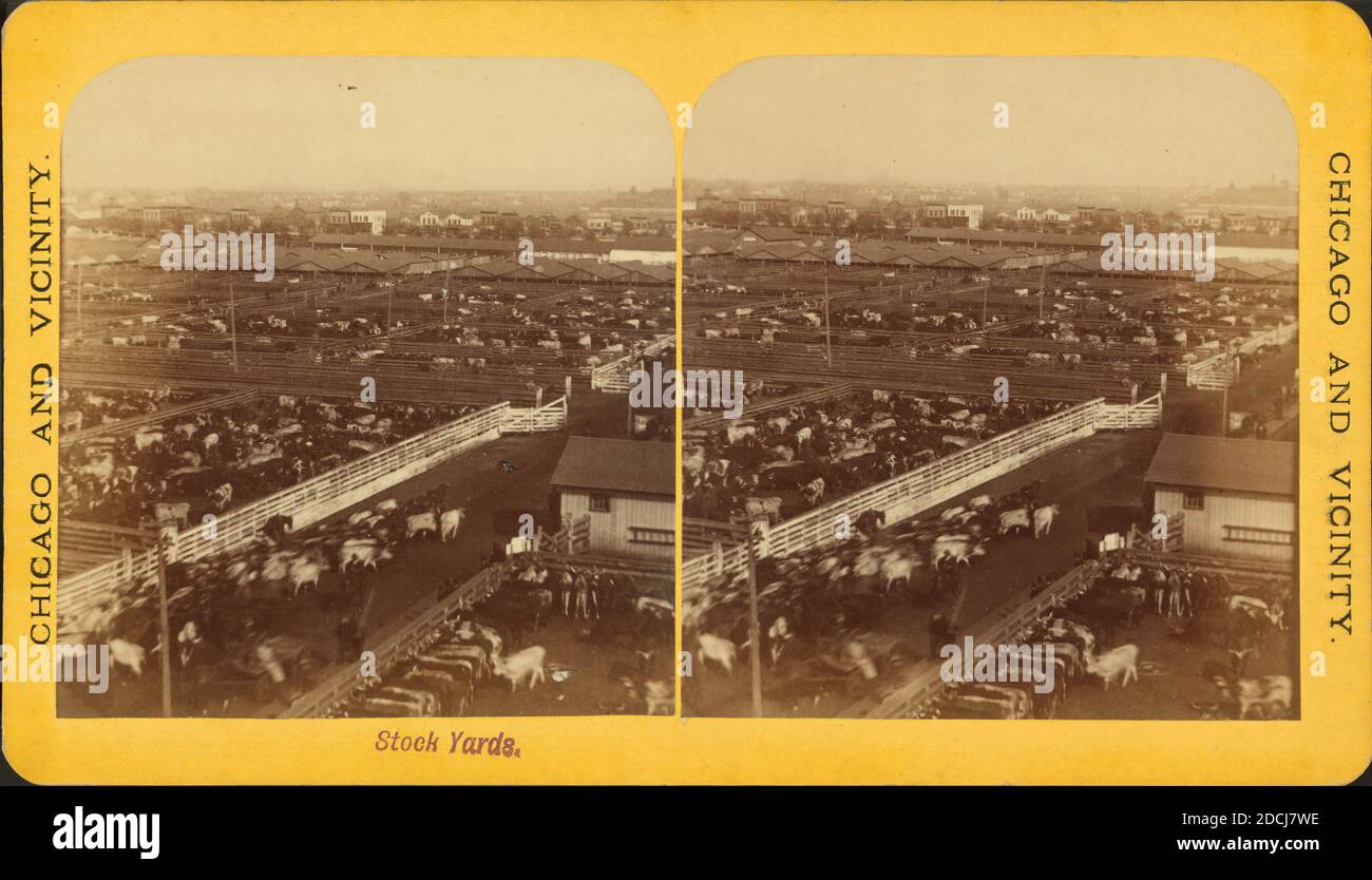 Stock Yards [stockyards]., still image, Stereographs, 1850 - 1930 Stock ...
