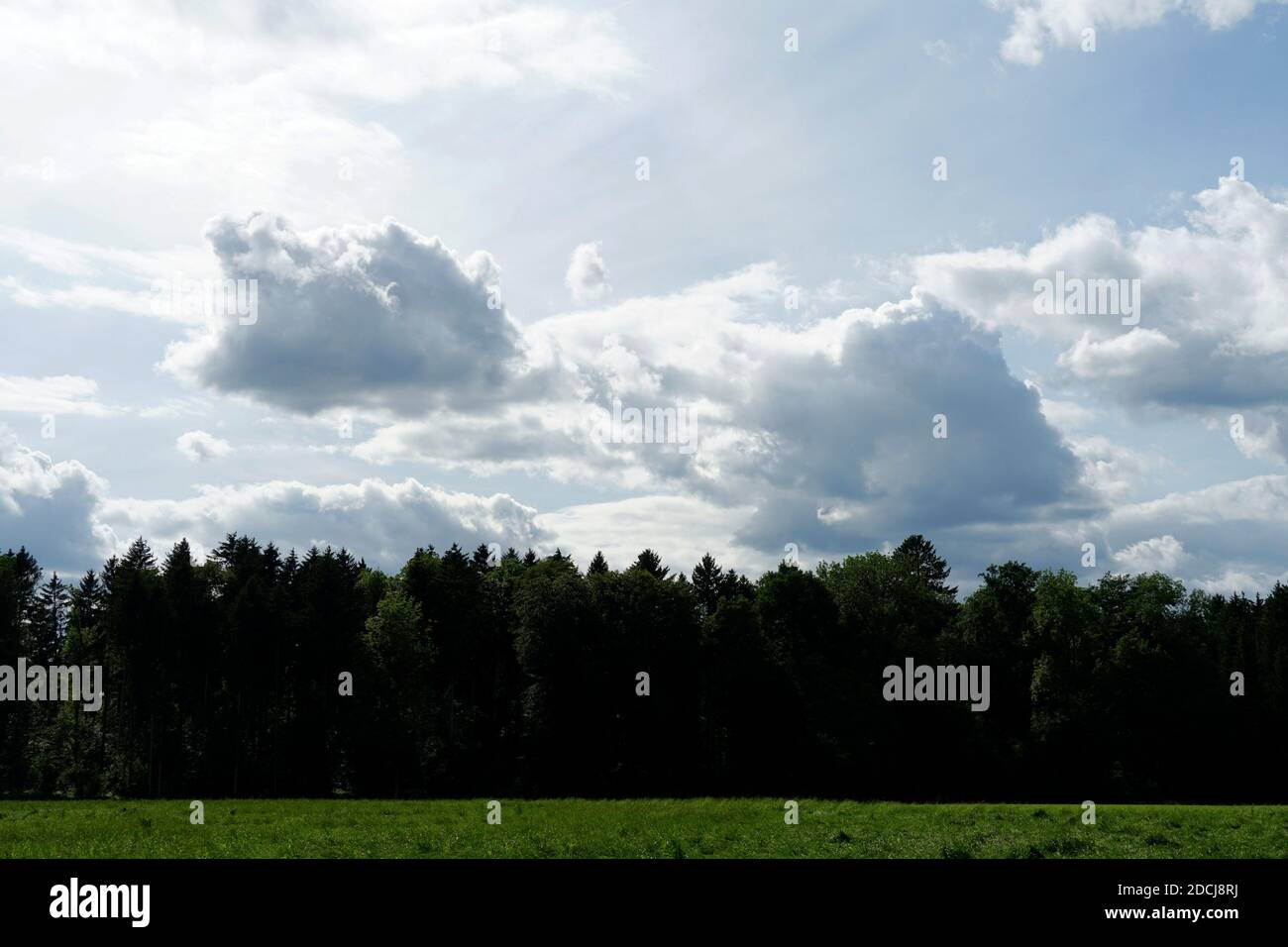 A landscape consisting of coniferous forest with a green meadow or grazing land in the foreground. Above ist, dramatic cloudscape flows. Stock Photo