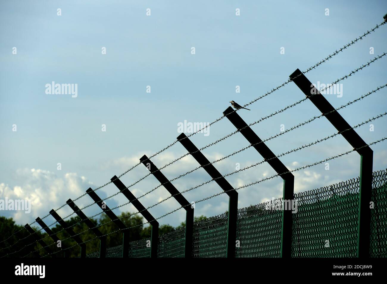 A fence with barbed wire with a bird sitting on it and clear blue sky on the background on the airport Zurich in Switzerland. It can have symbolic mea Stock Photo
