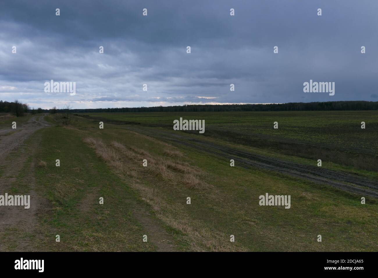 Agricultural field on a cloudy evening. Field landscape Stock Photo - Alamy