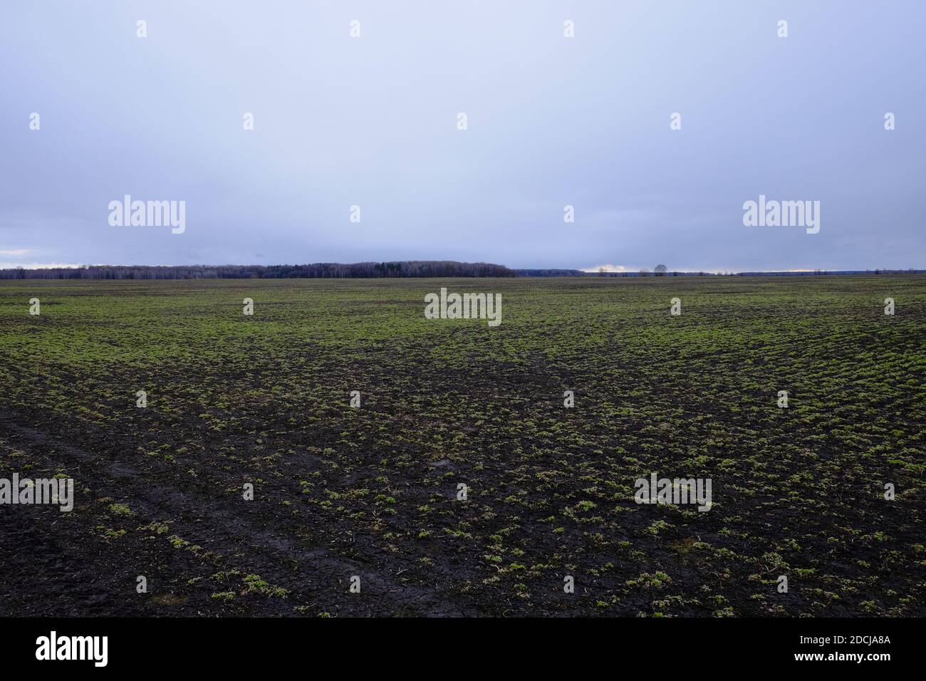 Agricultural field on a cloudy evening. Moody landscape Stock Photo - Alamy