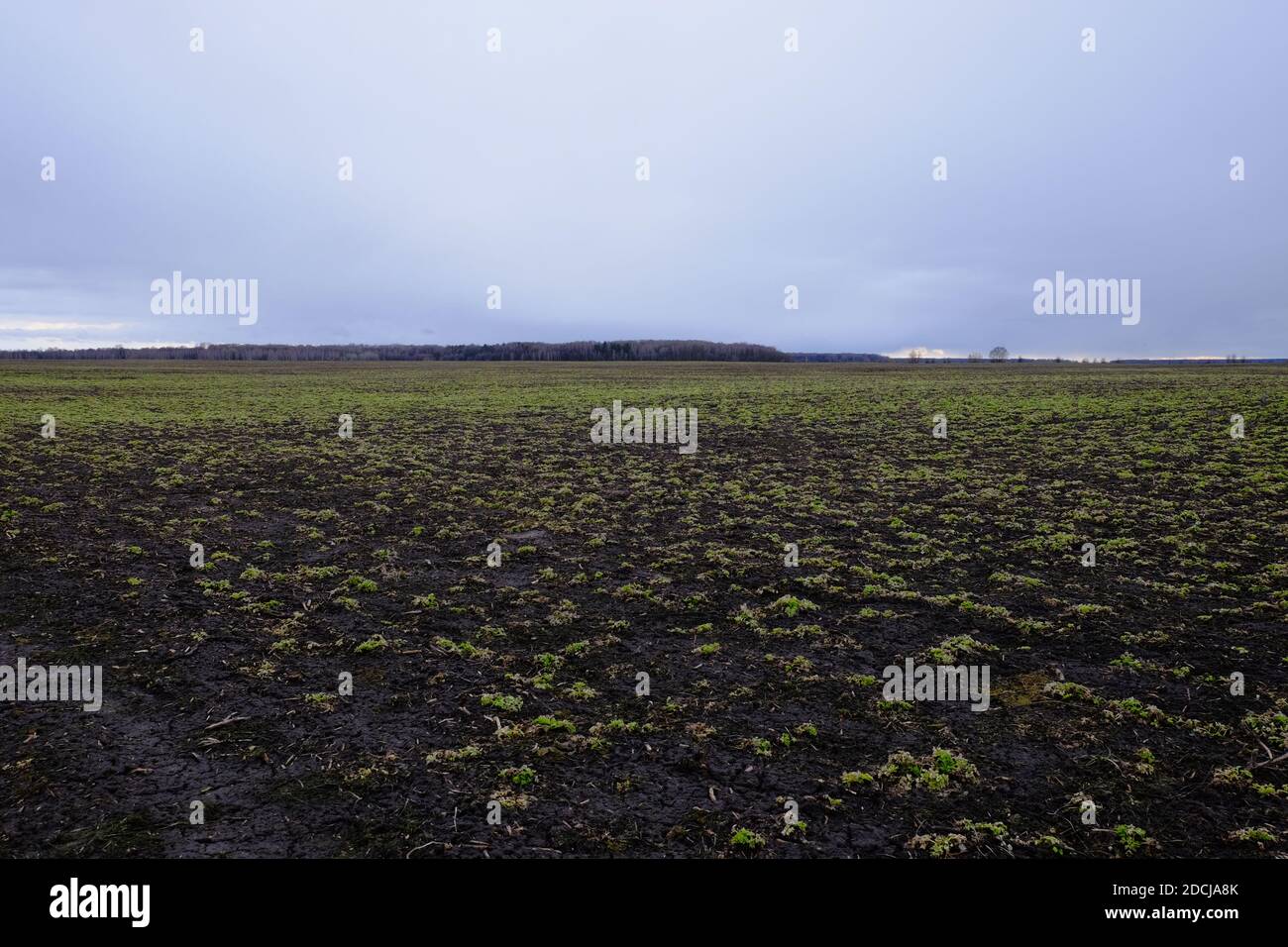 Agricultural field on a cloudy evening. Moody landscape Stock Photo - Alamy