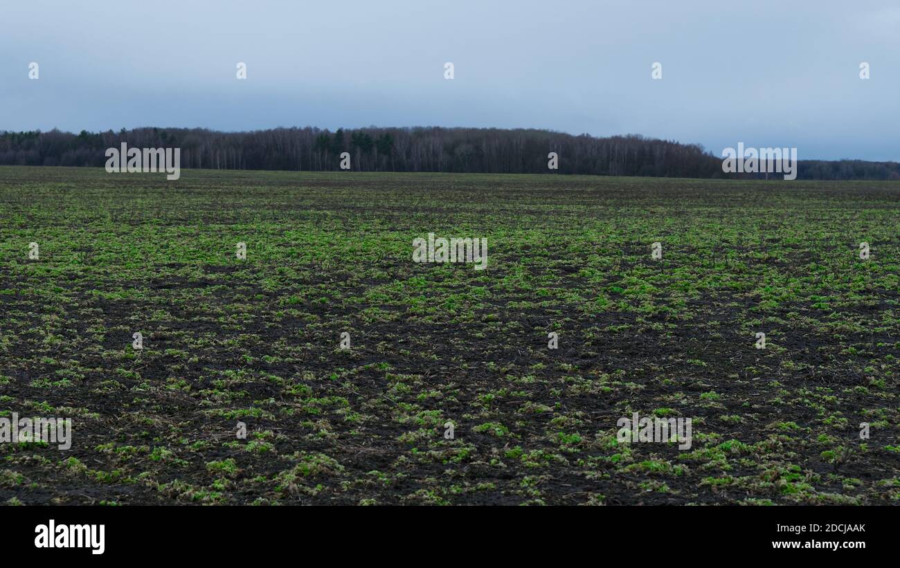 Agricultural field on a cloudy evening. Moody landscape Stock Photo - Alamy