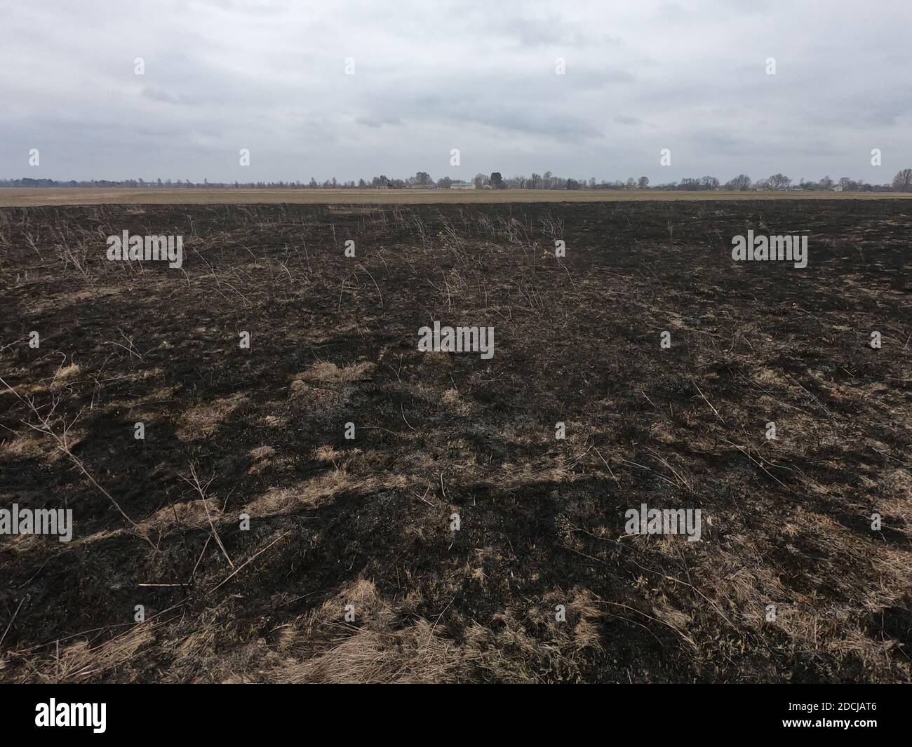 Burnt field. Place of environmental disaster. Moody landscape. Stock Photo