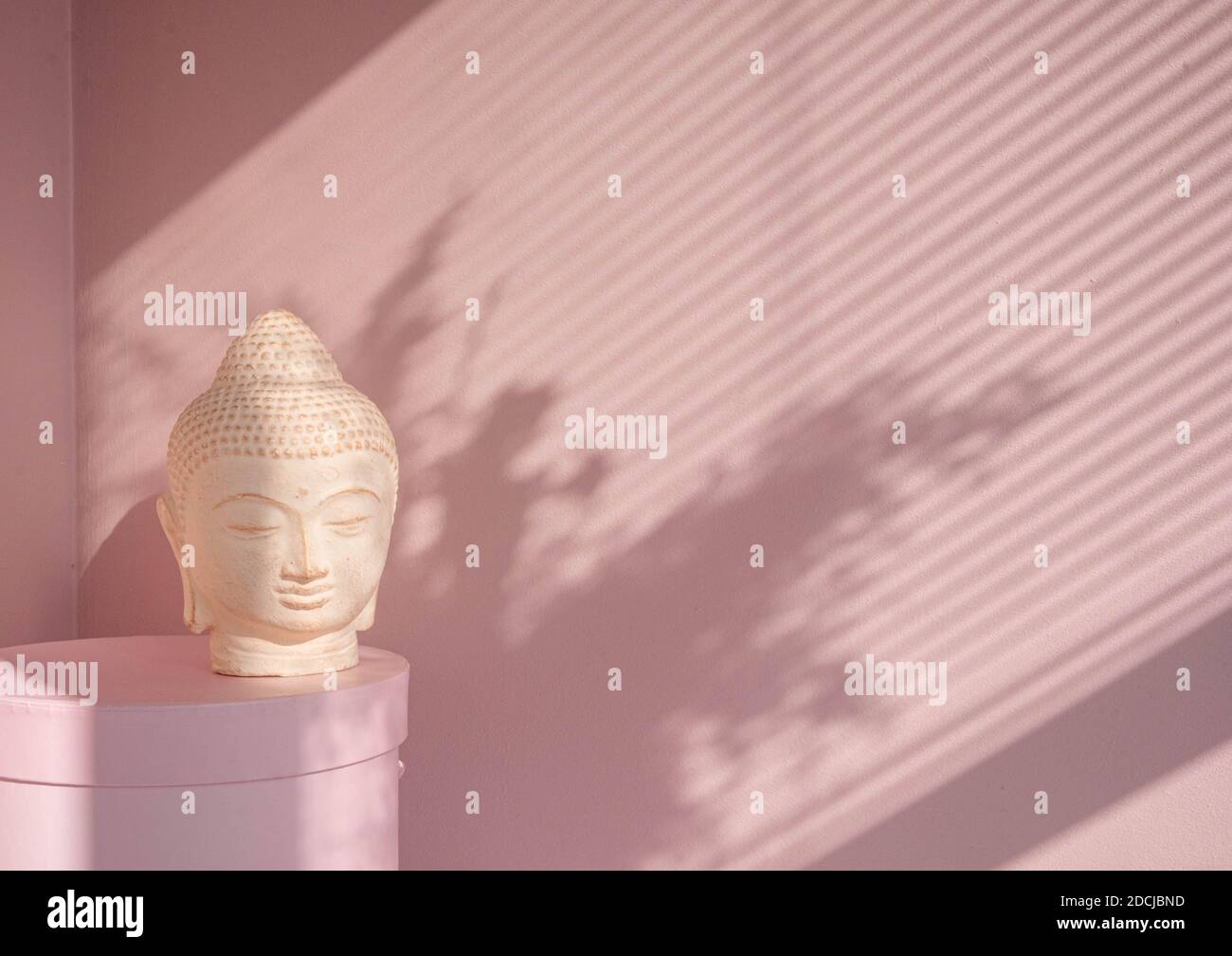 White Buddha bust on pastel pink background Stock Photo