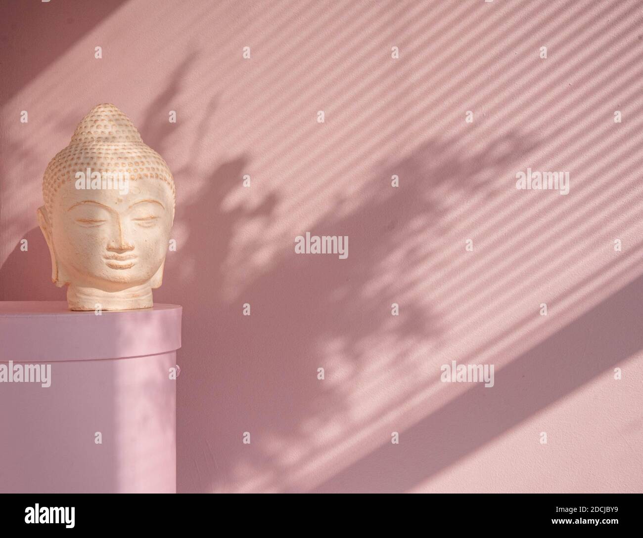 White Buddha bust on pastel pink background Stock Photo