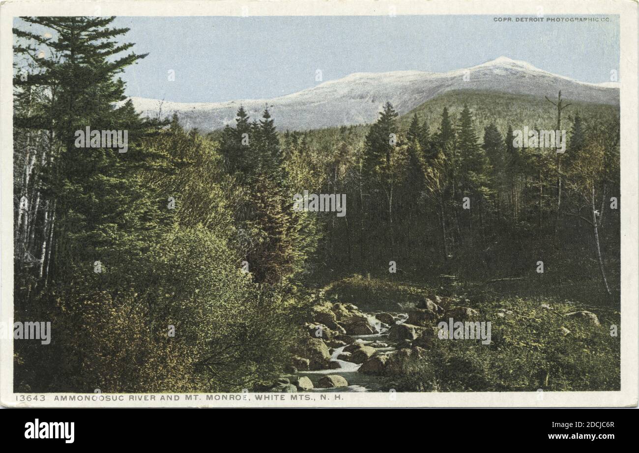 USA photo postcard train on Jacobs Ladder White Mountains N.H. c.1919 USA photo postcard train on Jacobs Ladder White Mountains N.H. c.1919