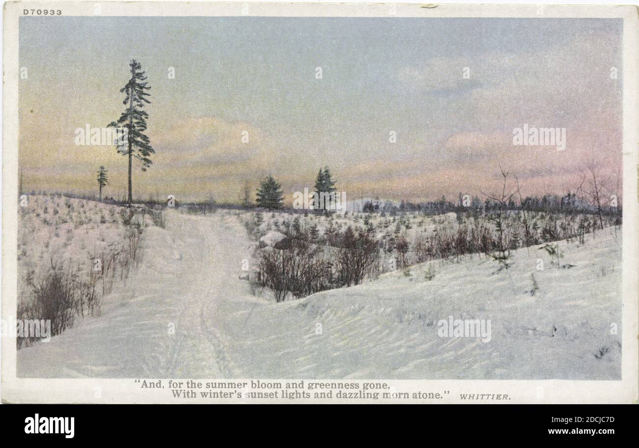Snow Scene, still image, Postcards, 1898 - 1931 Stock Photo