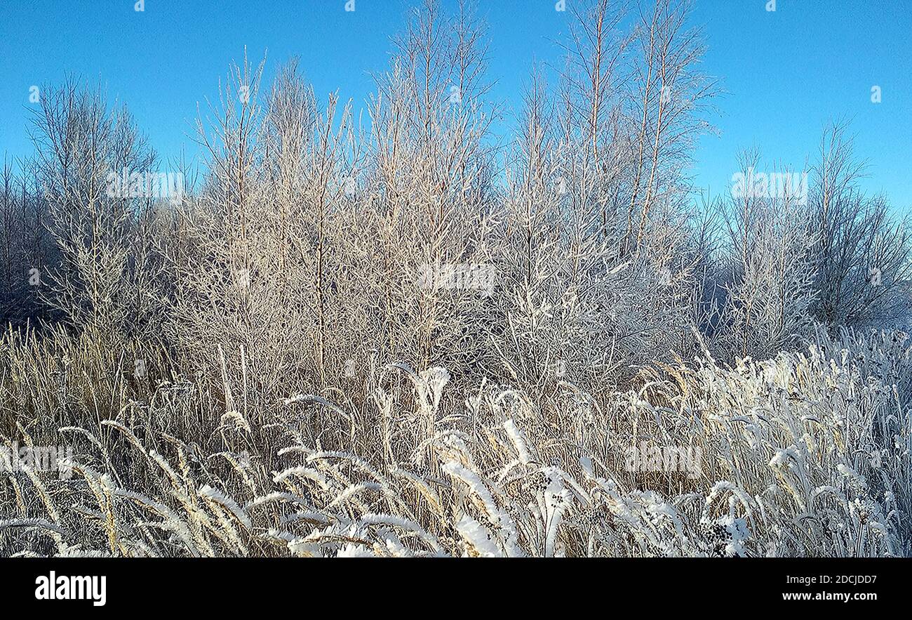 Winter landscapes Stock Photo