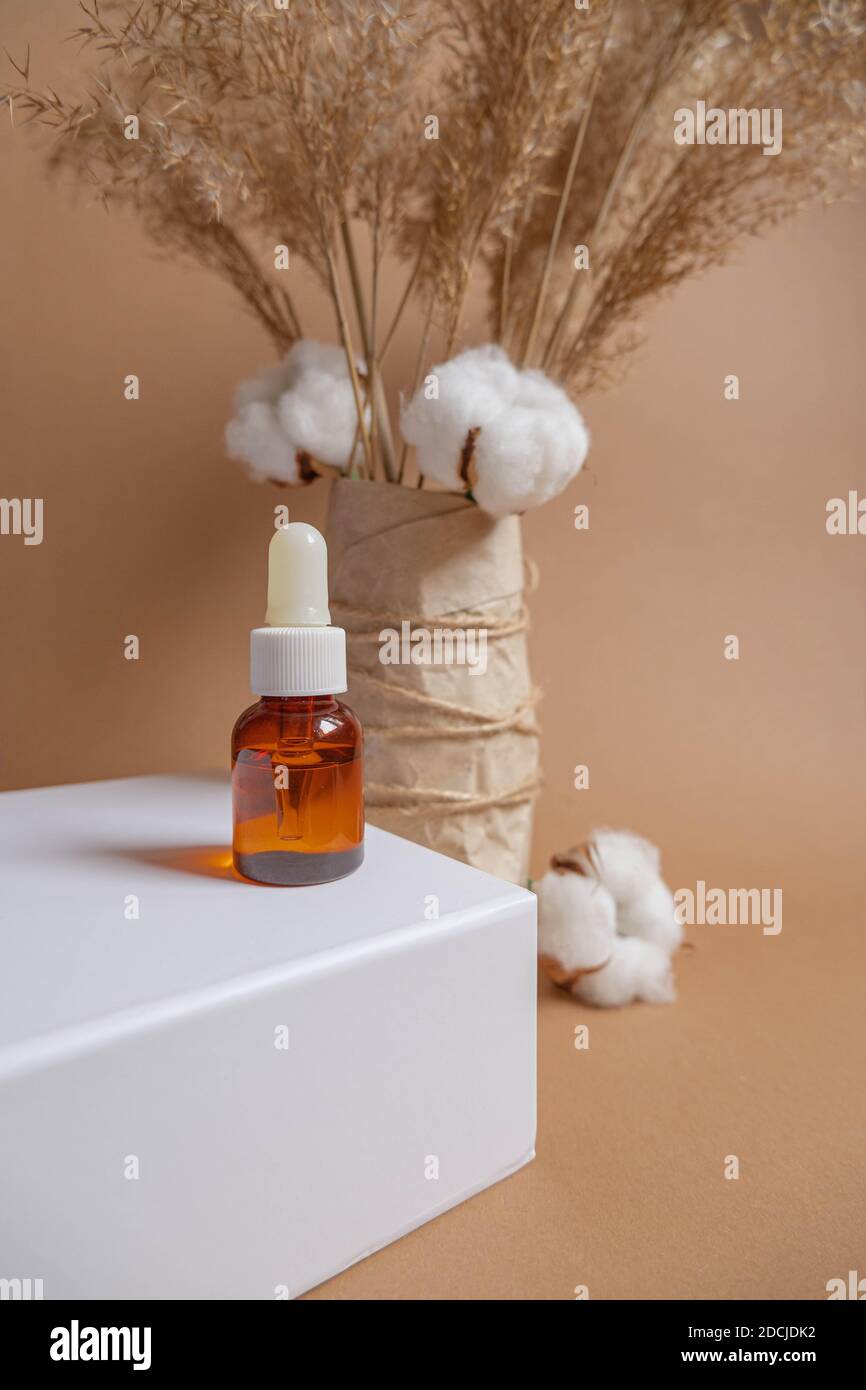 Bouquet of pampas grass and cotton flowers on Stock Photo Alamy