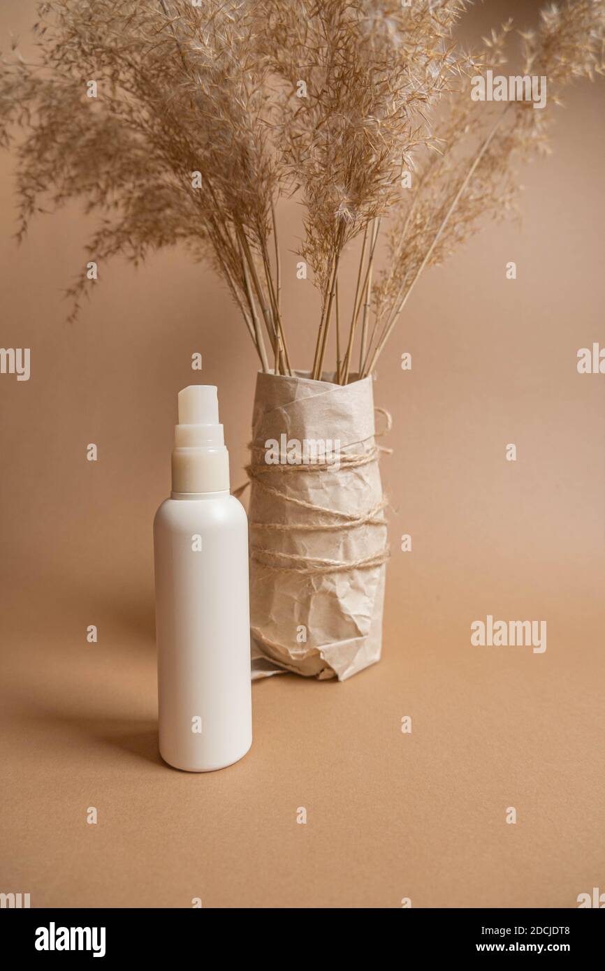 Bouquet of pampas grass and cotton flowers on Stock Photo