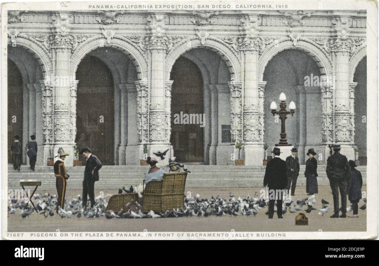 Pigeons on the Plaza De Panama, Pan-Calif. Expos, SD, still image, Postcards, 1898 - 1931 Stock Photo