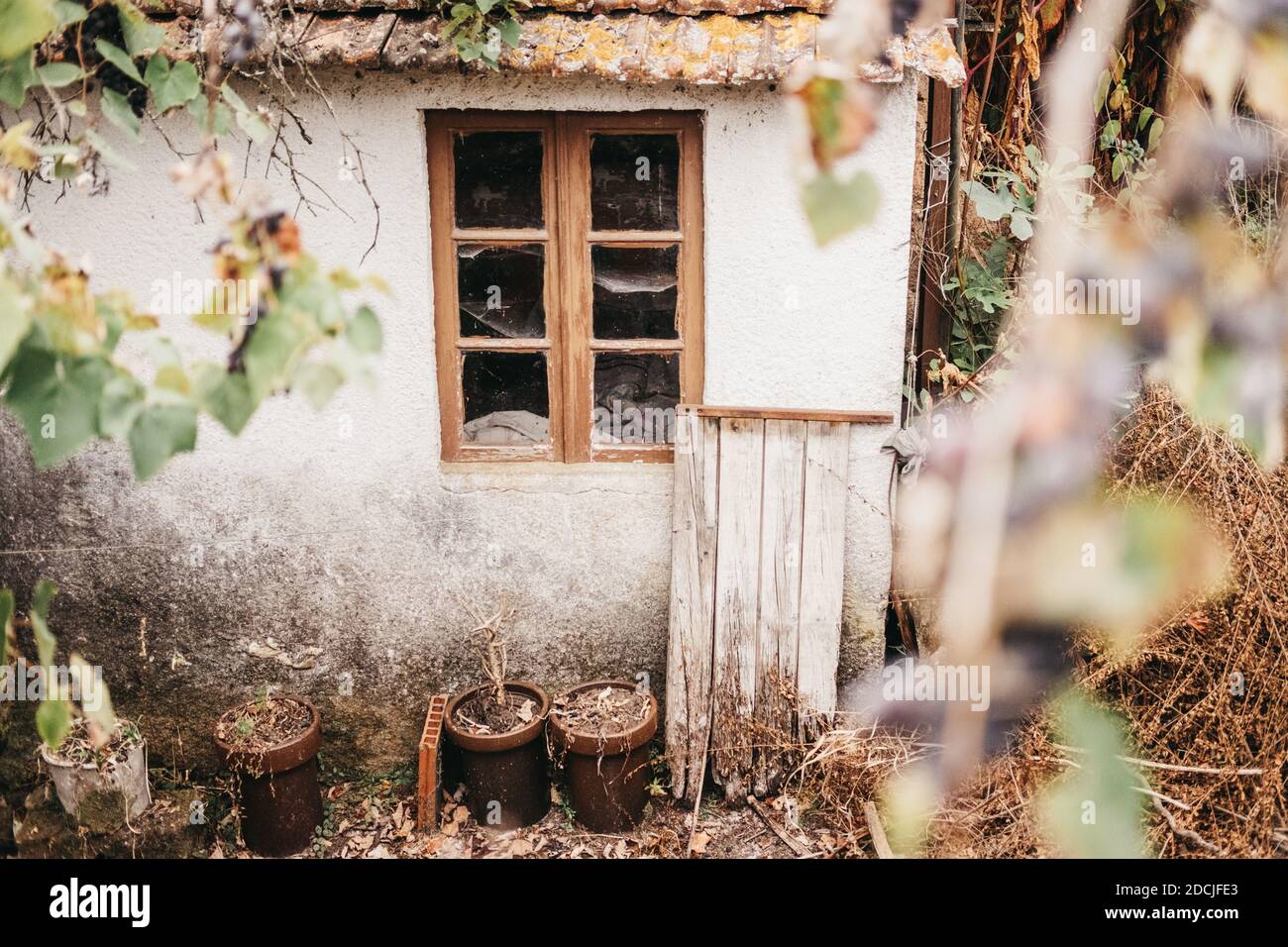 An old vintage house exterior and garden Stock Photo - Alamy