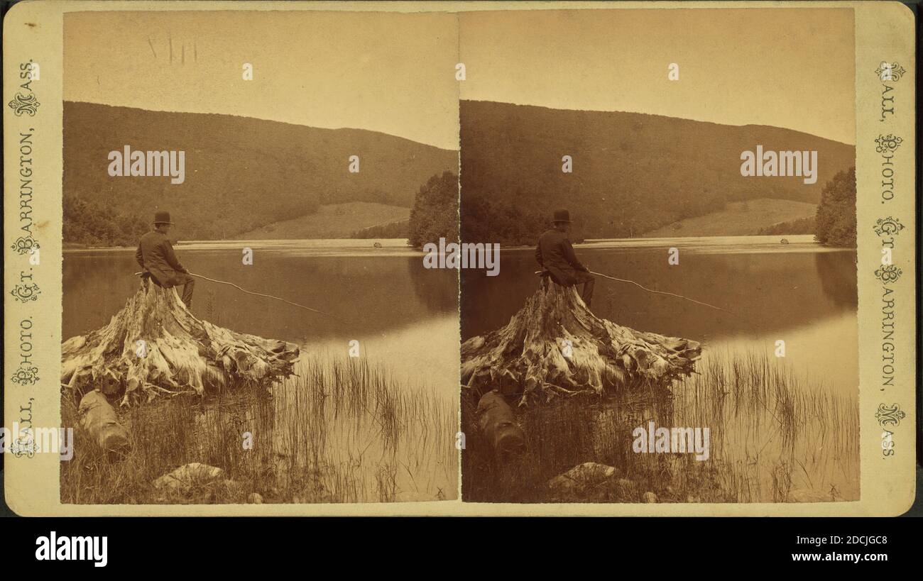 Man on stump fishing at Lake Averic., still image, Stereographs, 1850 - 1930, Hall, J. (Julius) (b. 1844 Stock Photo