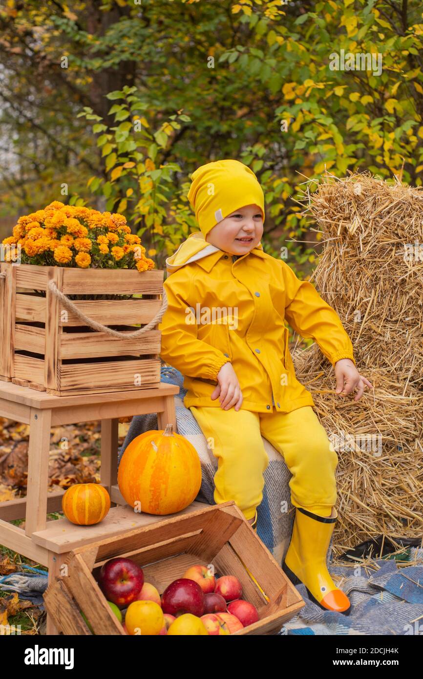 cute beautiful prescholer boy in an orange pants, raincoat, hat, rubber boots near photo zone of autumn decorations - pumpkins, apples, blankets, hay. Stock Photo