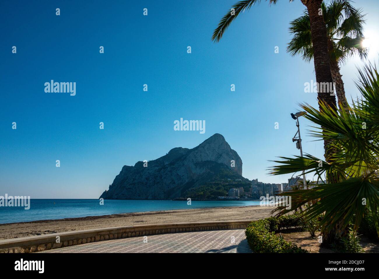 Palm tree on sandy hi-res stock photography and images - Alamy