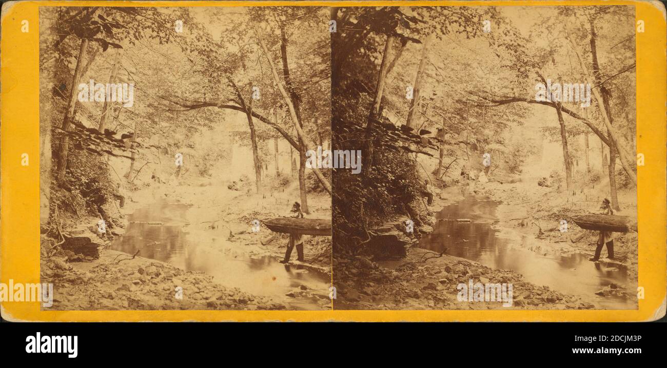 Lumber being moved through forest, Sioux City, Iow., still image, Stereographs, 1880 Stock Photo