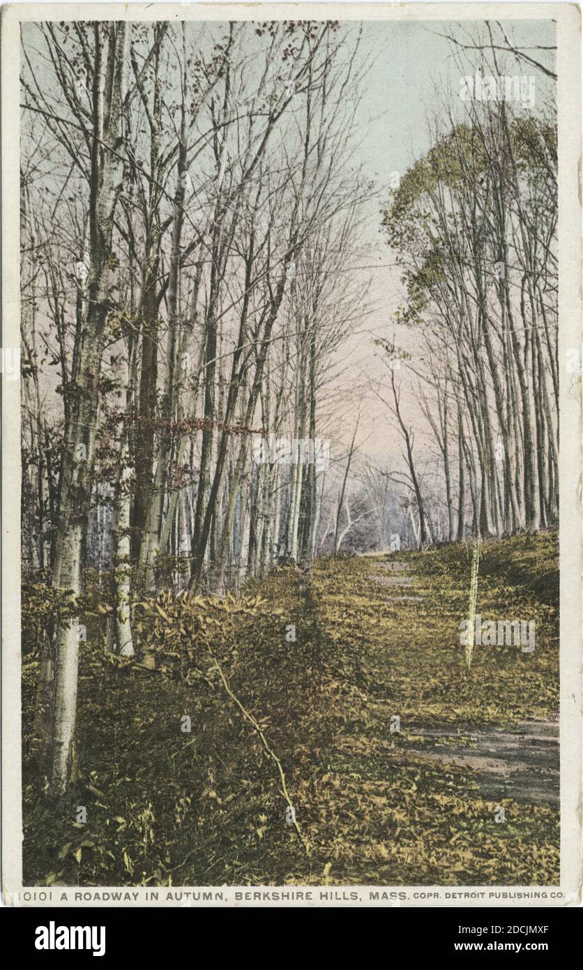 Roadway in Autumn, Berkshire Hills, Mass., still image, Postcards, 1898 - 1931 Stock Photo