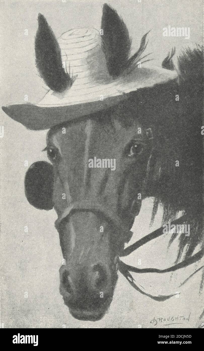 Is my hat on straight?, Life Cartoons, still image, Postcards, 1898 - 1931 Stock Photo