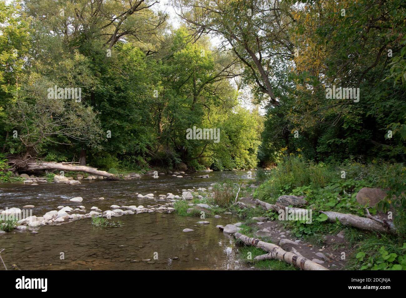 Peaceful section of the Bowmanville Creek in Ontario Canada, a trout