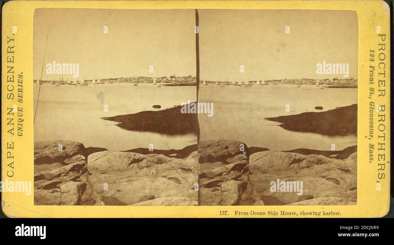 From Ocean Side House, showing harbor., still image, Stereographs, 1850 - 1930, Procter Brothers Stock Photo